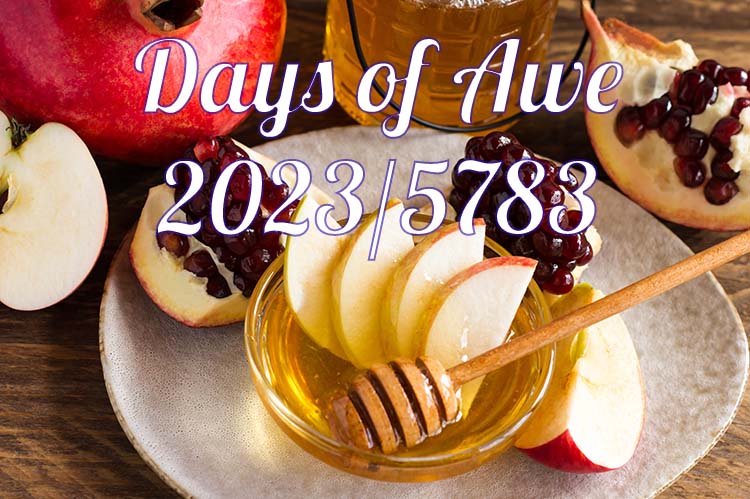 apples and honey tbm high holiday graphic 2022
